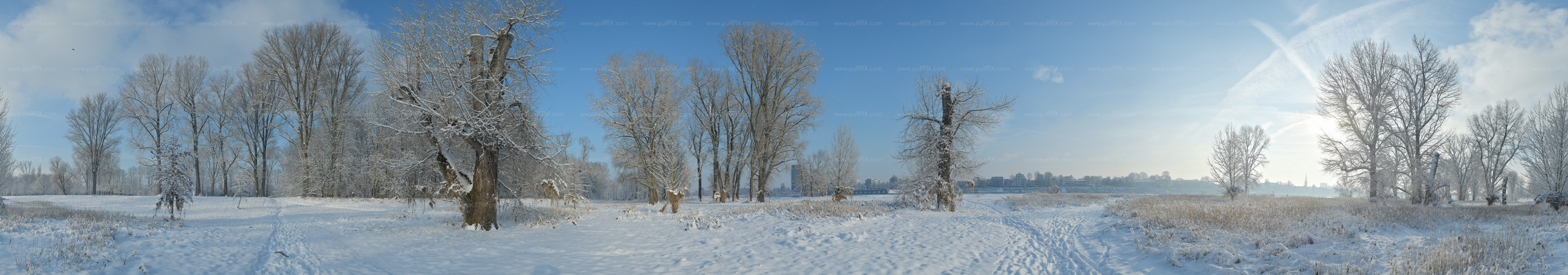 Preview Rheinauen mit Schnee.jpg